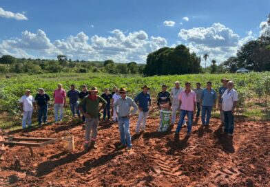 EMATER e Prefeitura de Gurinhatã realizam evento técnico para fortalecer o setor agropecuário local