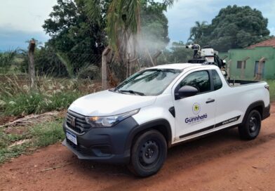 Prefeitura de Gurinhatã intensifica ações de combate à dengue com fumacê na comunidade Lagoa Escondida