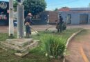 Prefeitura de Gurinhatã intensifica ações de limpeza urbana e manutenção paisagística no município