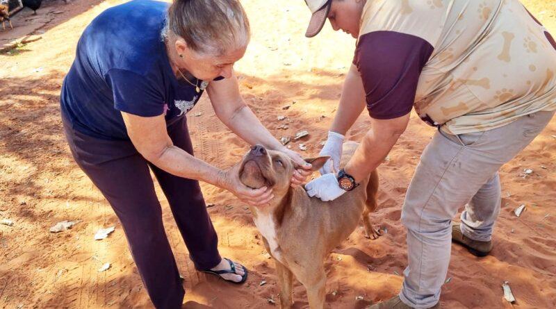 Gurinhatã inicia vacinação antirrábica e reforça proteção contra a raiva animal
